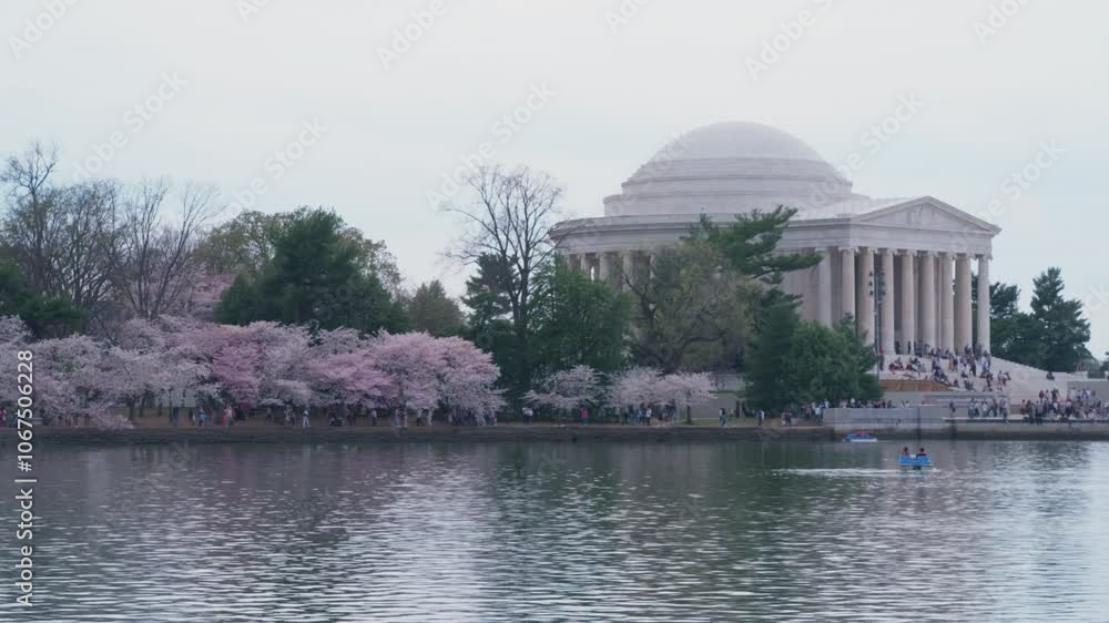 People walking in and out of Jefferson Memorial, Cherry Blossoms in bloom, plane flies overhead People walking in and out of Jefferson Memorial, Cherry Blossoms in bloom, plane flies overhead