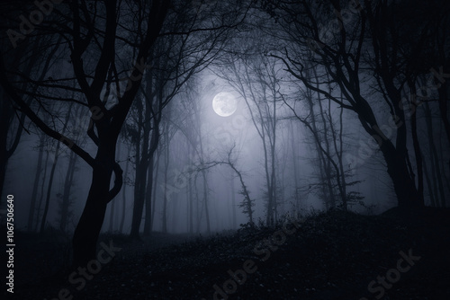 Fototapeta Naklejka Na Ścianę i Meble -  dark fantasy forest at night with full moon
