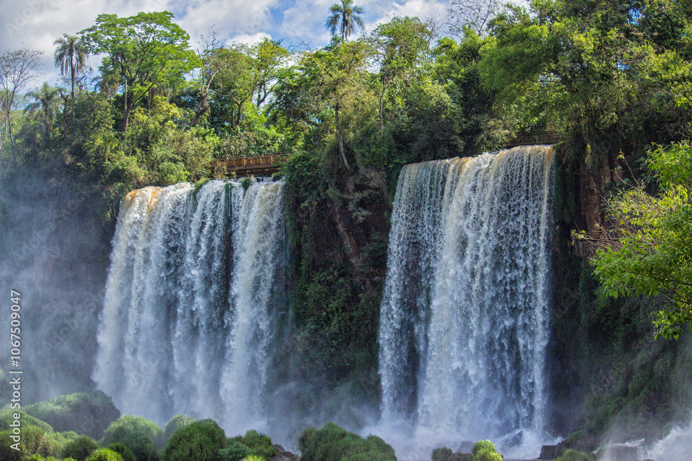 Waterfalls and trees at Iguazu Falls, Misiones, Argentina Waterfalls and trees at Iguazu Falls, Misiones, Argentina