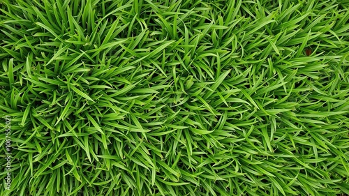 Green gras background with lush and vibrant texture perfect for nature-themed designs, fresh, greenery