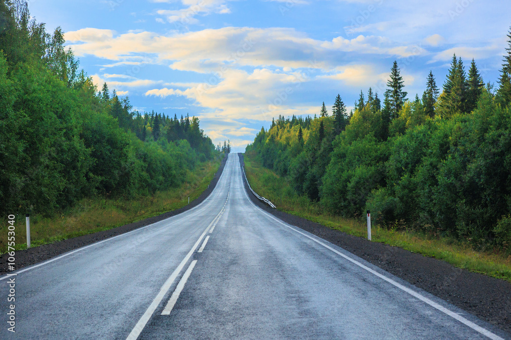 Fototapeta premium road outside the city along the forest after the rain