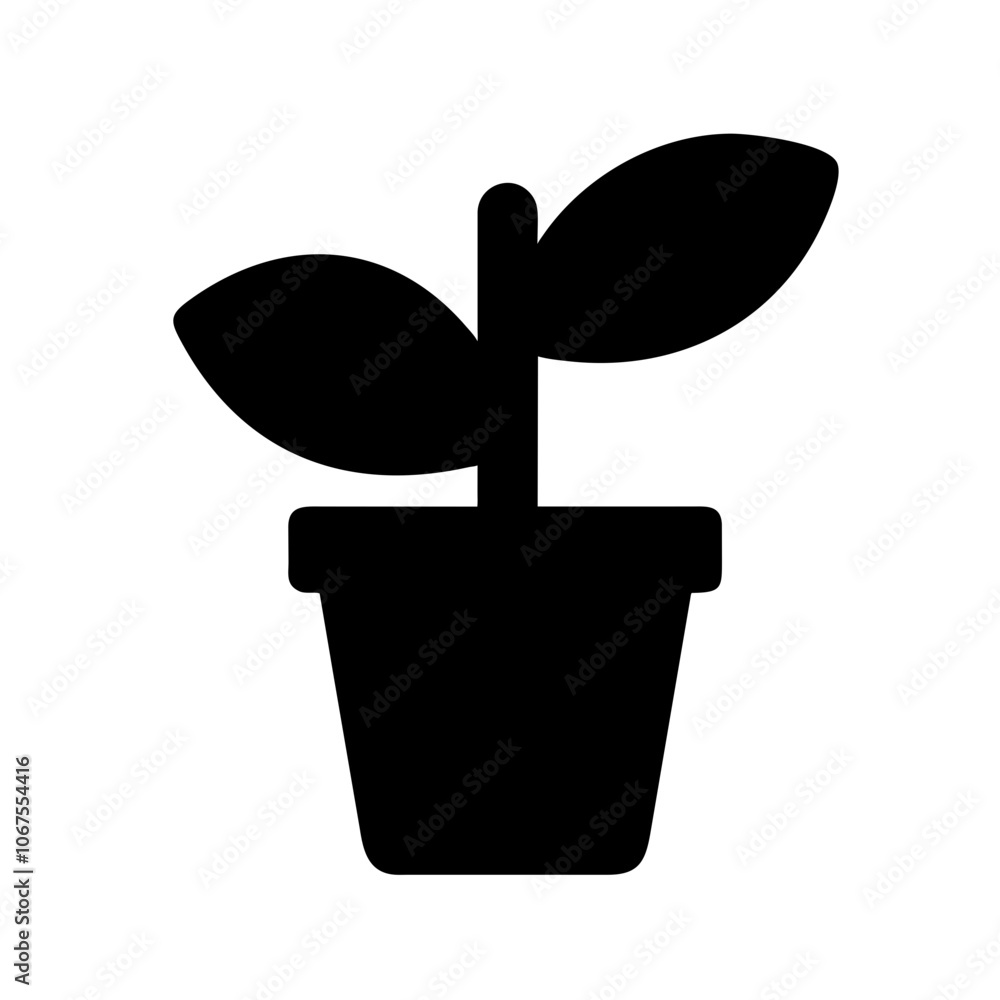 houseplant houseplant