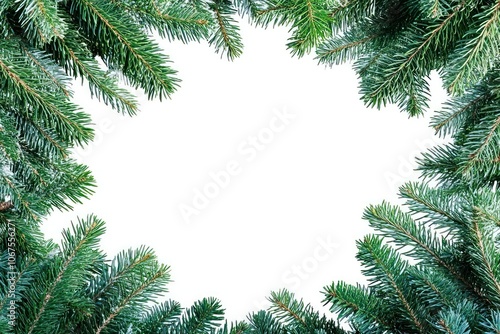 Fir tree frame border background christmas pine.