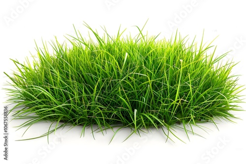 Lush Green Grass Patch Isolated on White Background