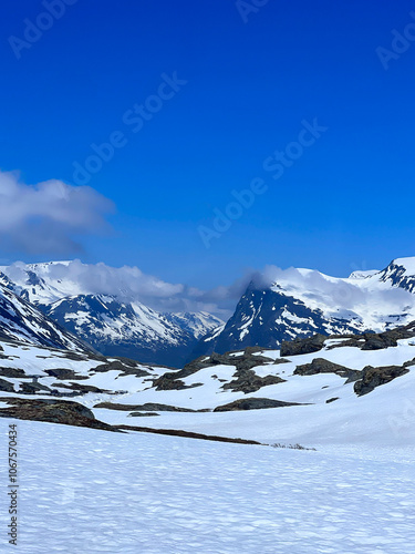 rest in the snowy mountains photo