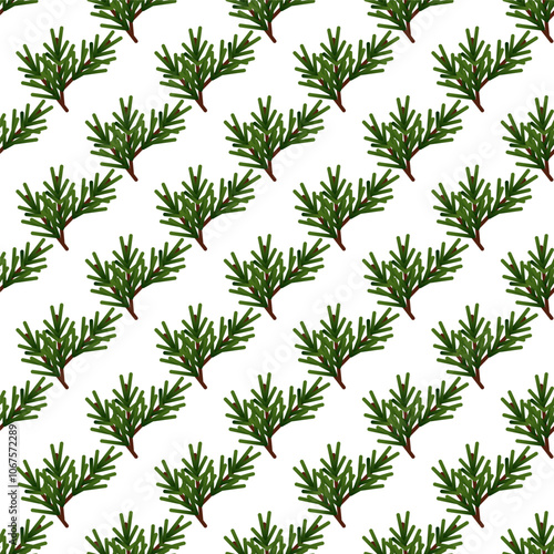 Seamless pattern of green fir tree branches on a white background