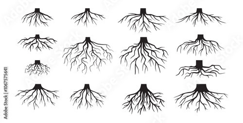 Various realistic tree roots, shrub roots. Parts of plant, root system tree stump. Dendrology, woody plants. Sketch doodle drawing.
