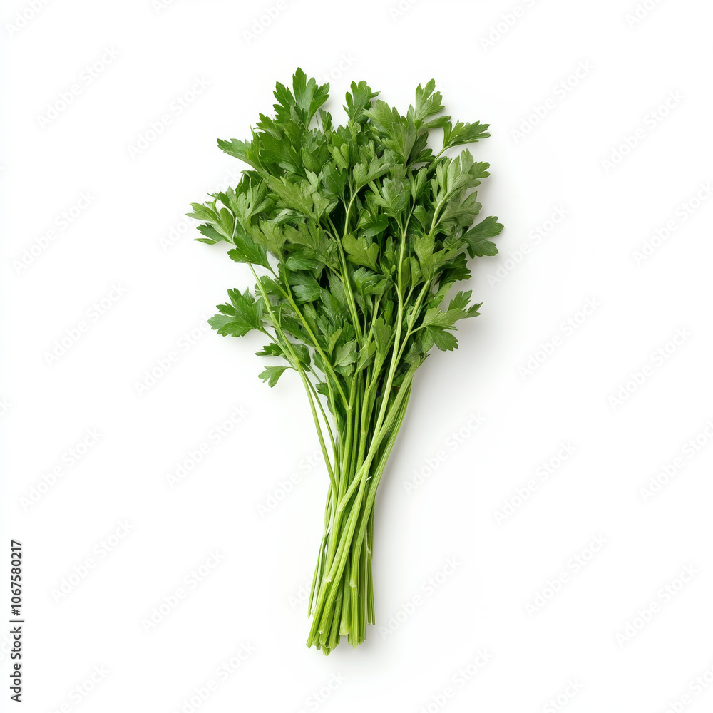 A bunch of fresh green parsley, isolated on a white background, showcasing a popular garnish herb A bunch of fresh green parsley, isolated on a white background, showcasing a popular garnish herb