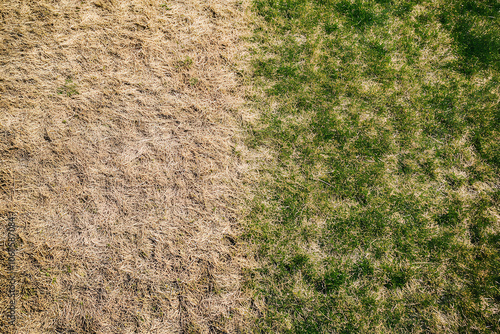 Dry and patchy lawn with brown and green grass textures showcasing signs of drought and lack of water.