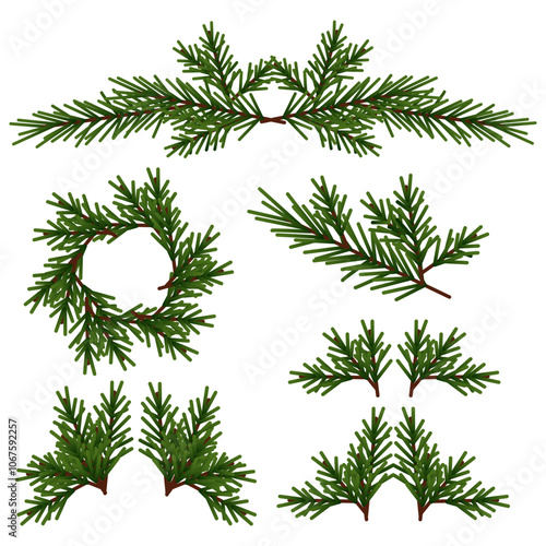 Set of different compositions of green Christmas tree branches without decorations
