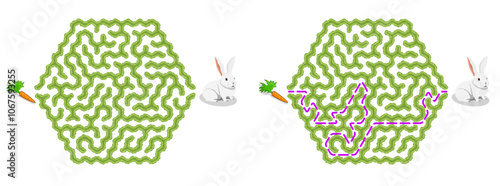 Help bunny pass through green hedge maze to find carrot. Feed the hungry pet labyrinth. Family riddle for kids and parents with solution - red passing route