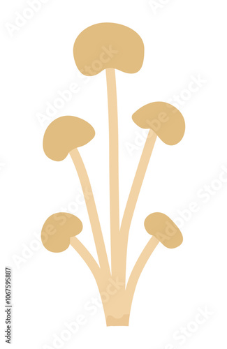 Enoki mushrooms (Enokitake) logo. A conditional hand-drawn drawing on a white background, Organic, healthy vegetarian food.