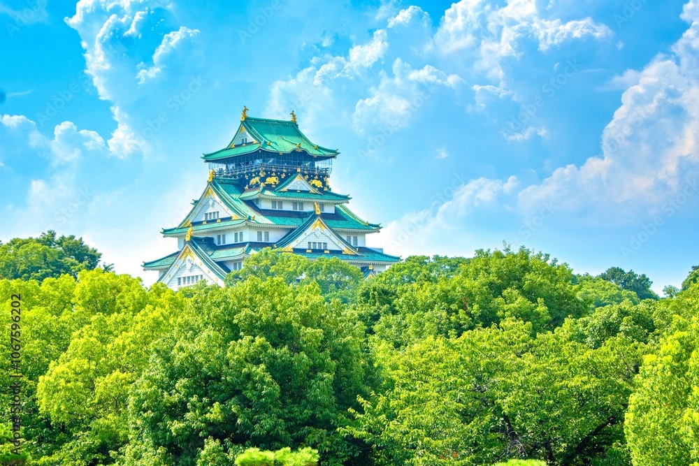 Fototapeta premium A beautiful view of the majestic Osaka Castle, Osaka Japan
