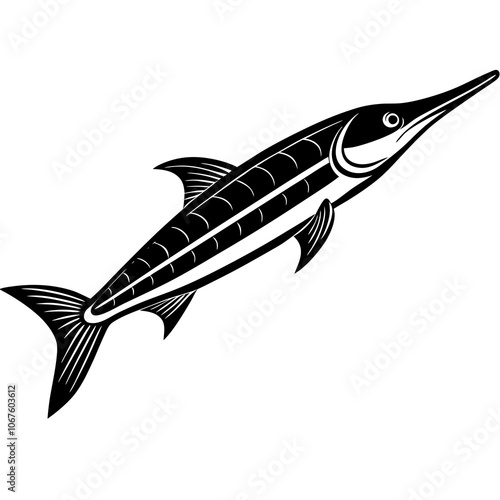 illustration of a fish photo