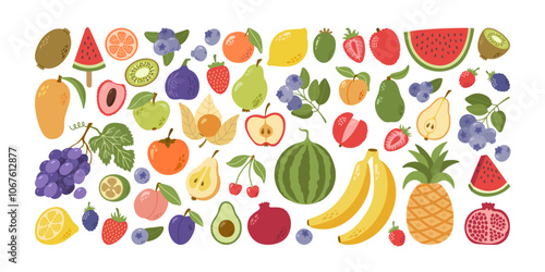 Summer tropical, exotic and garden fruits and berries with leaves collection. Hand drawn vector cartoon.