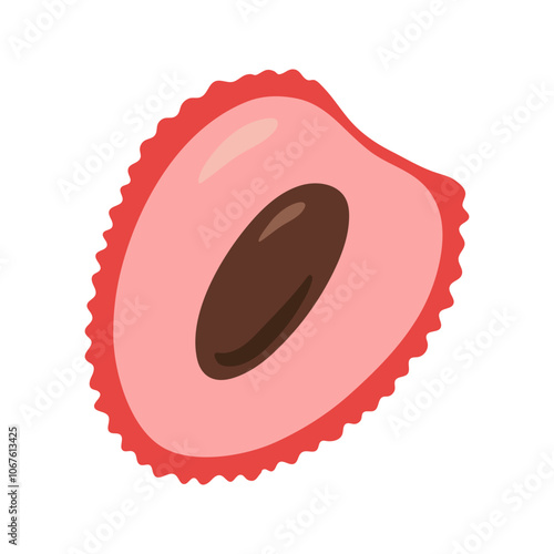 Single halved juicy lychee with seed. Hand drawn cartoon summer fruit illustration.