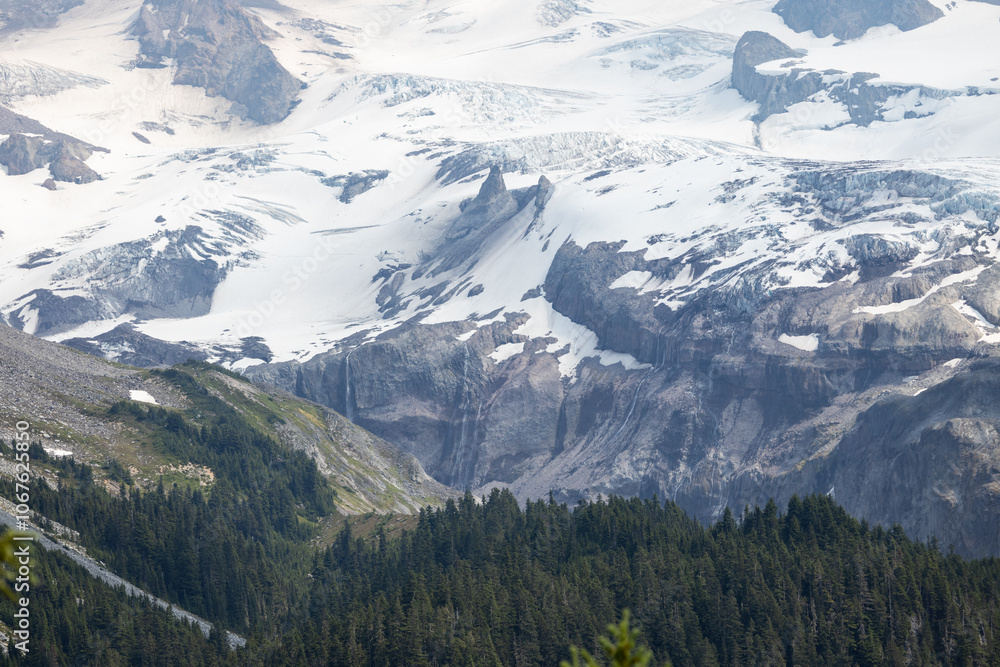 Obraz premium View of the Mountain at Mt. Rainier National Park
