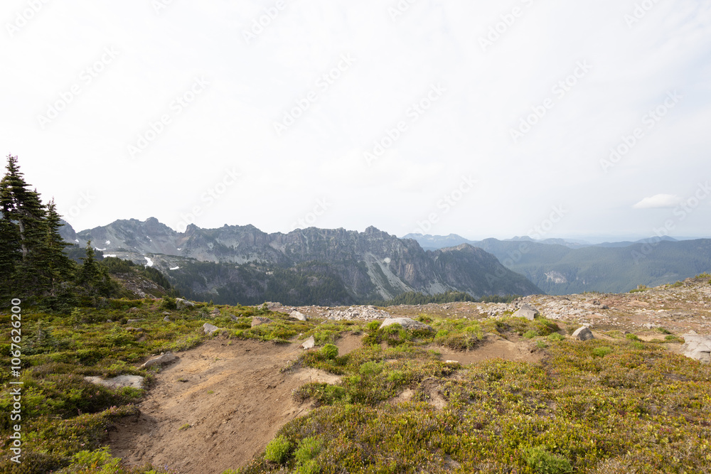 Fototapeta premium Hiking the Spray Park Trail in Mt. Rainier National Park