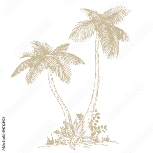 Tropical palm trees clipart. Hand drawn tropical illustration. Botanical sketch composition.