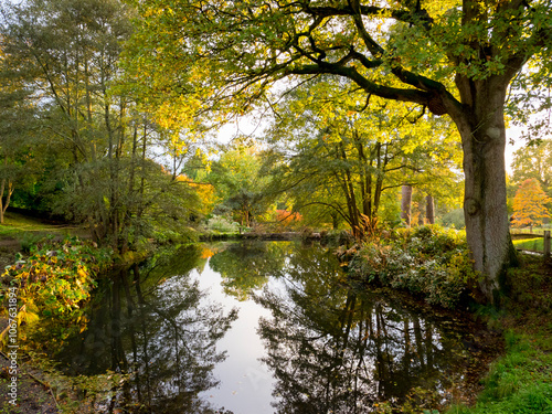 Obraz na płótnie Wakehurst Gardens in autumn w salonie