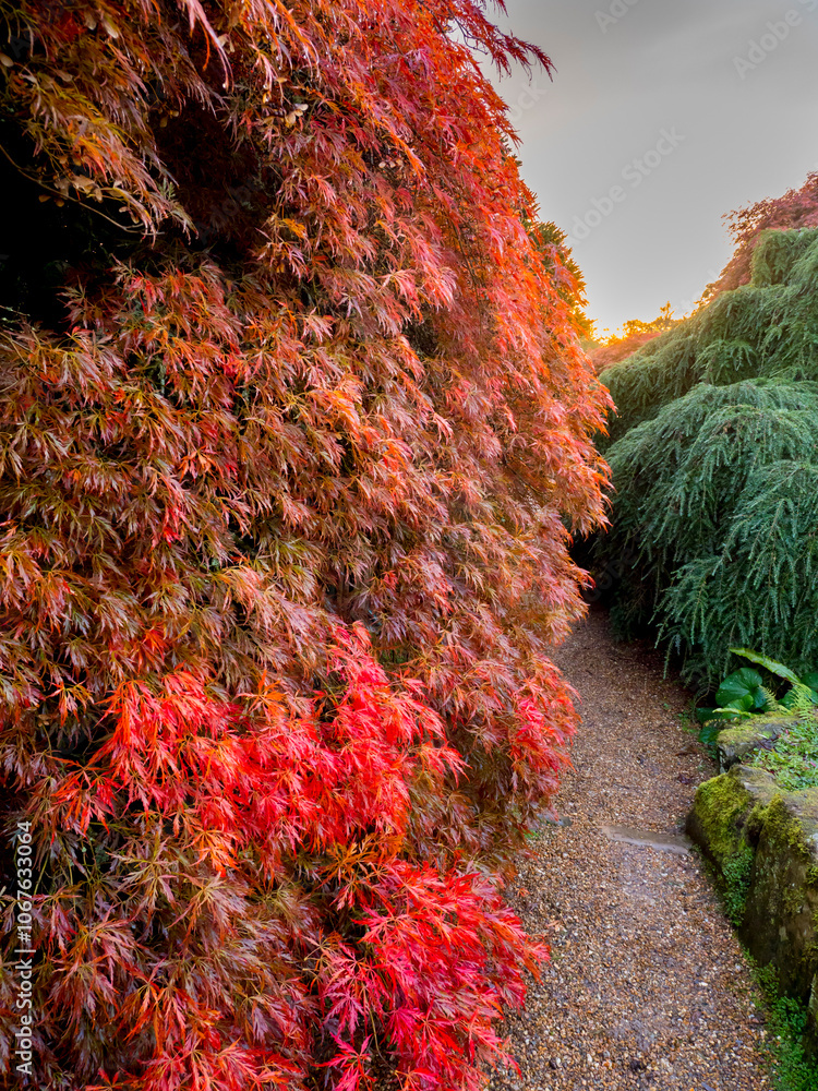 Wakehurst Gardens in autumn