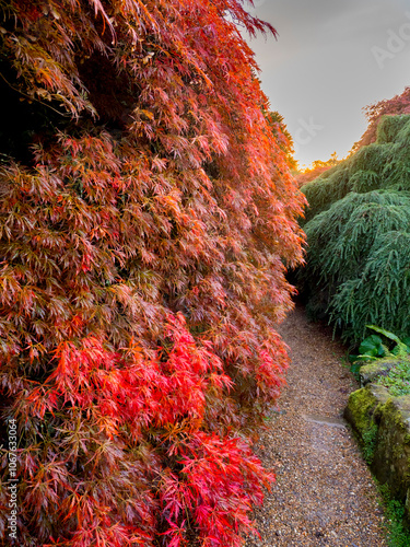 Obraz na płótnie Wakehurst Gardens in autumn w salonie