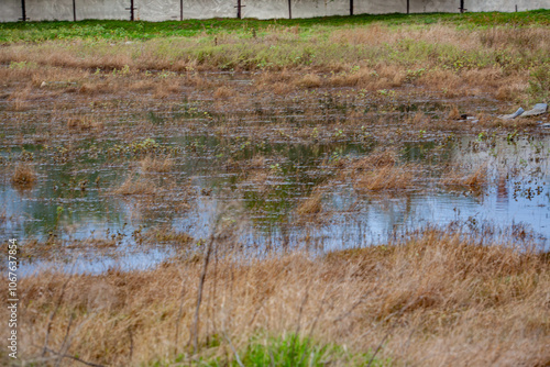 Muddy flash flood water rising in stream under a small bridge. photo