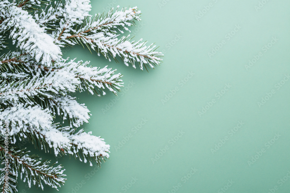 Branch of snowy green spruce, Christmas tree on green background. Winter template, flatlay frame for Christmas, New Year and sale season. Web card and backdrop with space for text Branch of snowy green spruce, Christmas tree on green background. Winter template, flatlay frame for Christmas, New Year and sale season. Web card and backdrop with space for text
