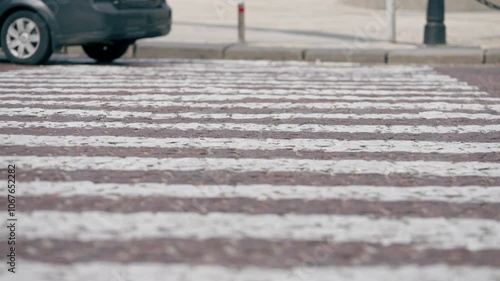 close up city landscape city center streets movement cars of different foreign brands protected area for pedestrians care of the city mayor cobblestone pedestrian markings