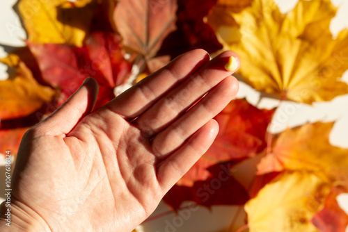 Closeup of person applying retinal serum in fall. photo