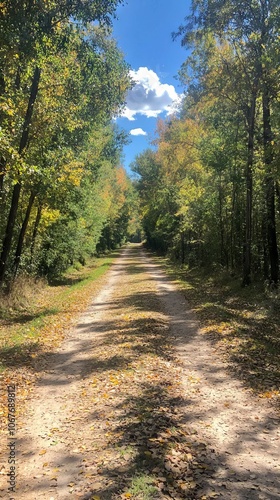 A serene dirt path surrounded by colorful autumn foliage.