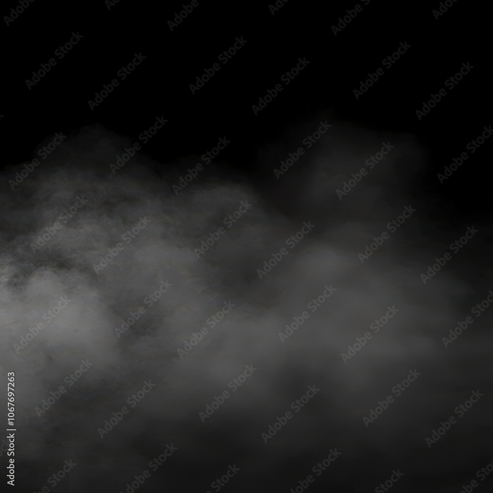 Fototapeta premium Mysterious Foggy Atmosphere