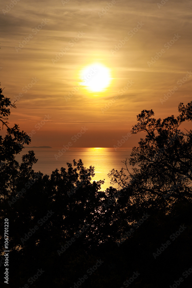 Obraz premium sunset of a distinct orange color over the shimmering sea surface in Alba, in the foreground the silhouette of dense trees and bushes