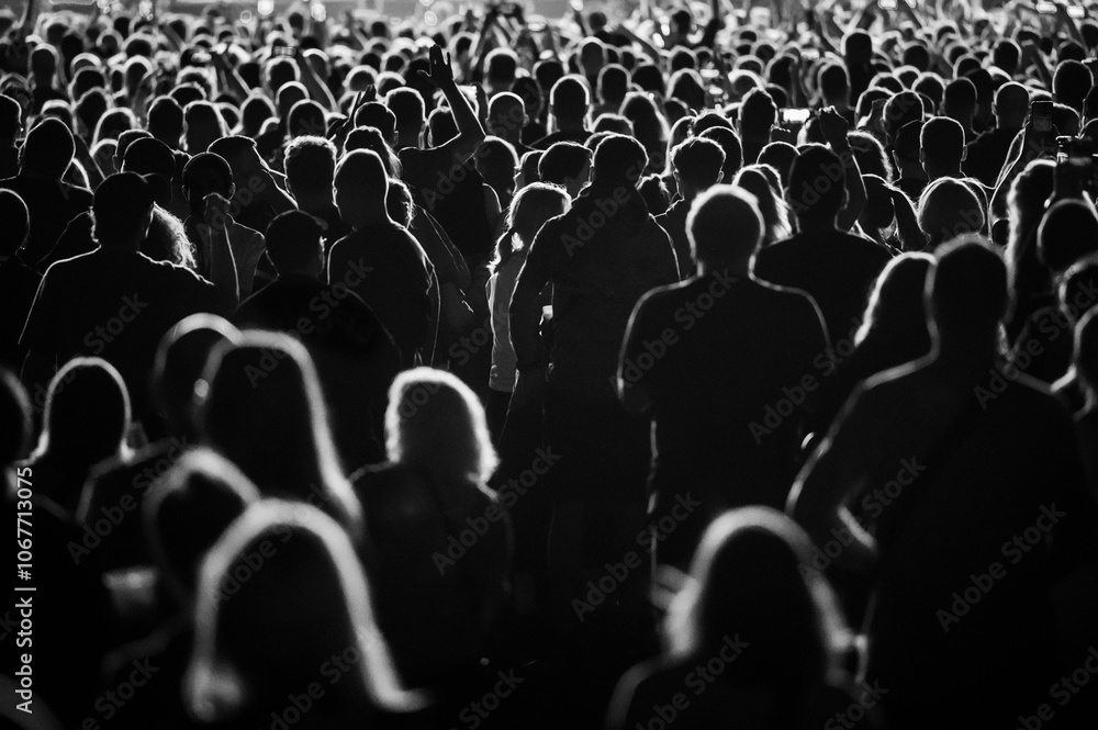 Crowd of people in front of the stage during the concert.