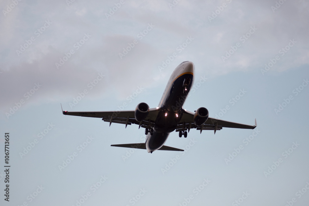 Fototapeta premium Passenger Airplane Landing Take-Off at Sunrise Dawn