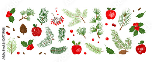Christmas pine cone, tree, winter wood, fir, mistletoe, holly berry, leaf branch, apple, Xmas spruce, needle twig, evergreen decoration isolated on white background. Holiday nature vector illustration