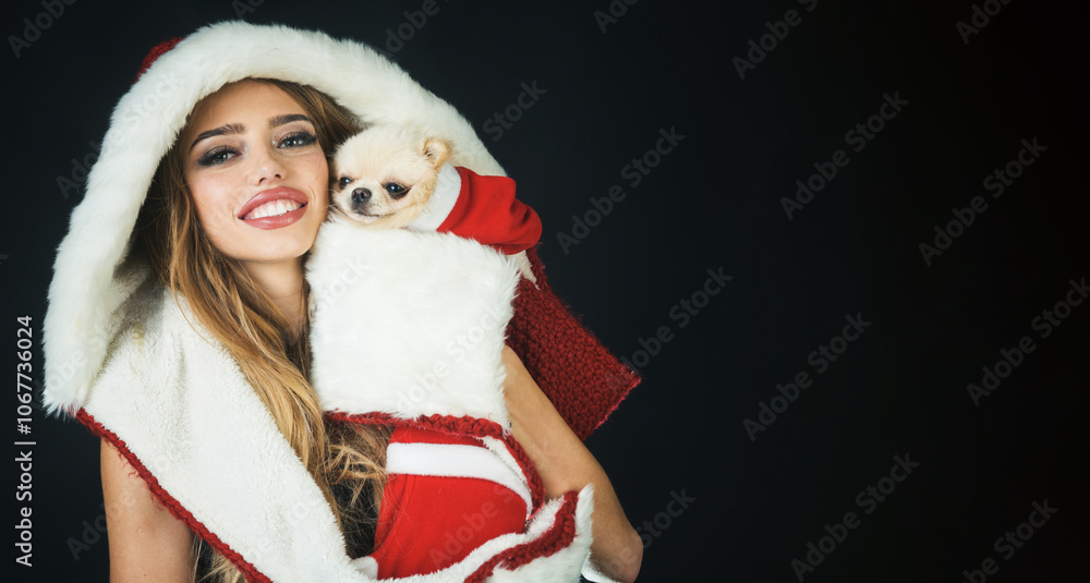 Fototapeta premium Christmas girl with small fluffy dog in festive outfit. Holiday pet market and winter holidays. Sensual Santa woman with Pomeranian Spitz in Santa Claus wear. New year girl and friend pet. Copy space.