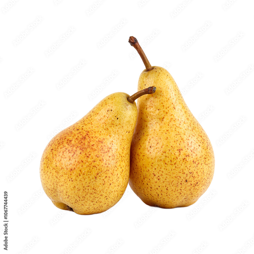 Ripe yellow pears on white background one leaning against the other Ripe yellow pears on white background one leaning against the other