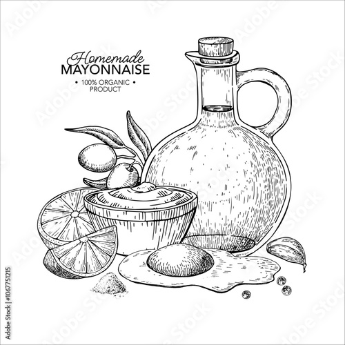 Mayonnaise sauce vector drawing. Organic homemade mayo cream ingredients sketch.