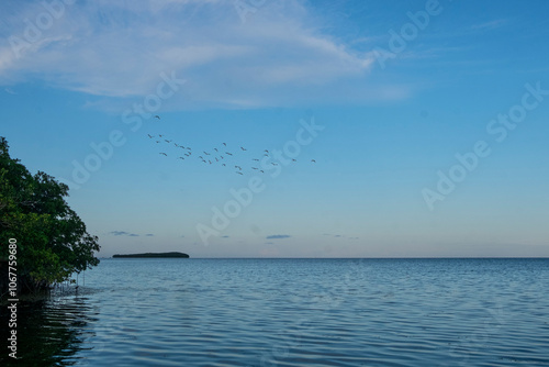 sea and sky