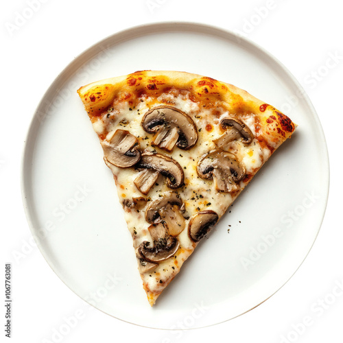 Slice of Mushroom Pizza Iso...