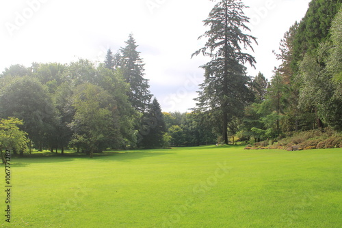 landscape with trees