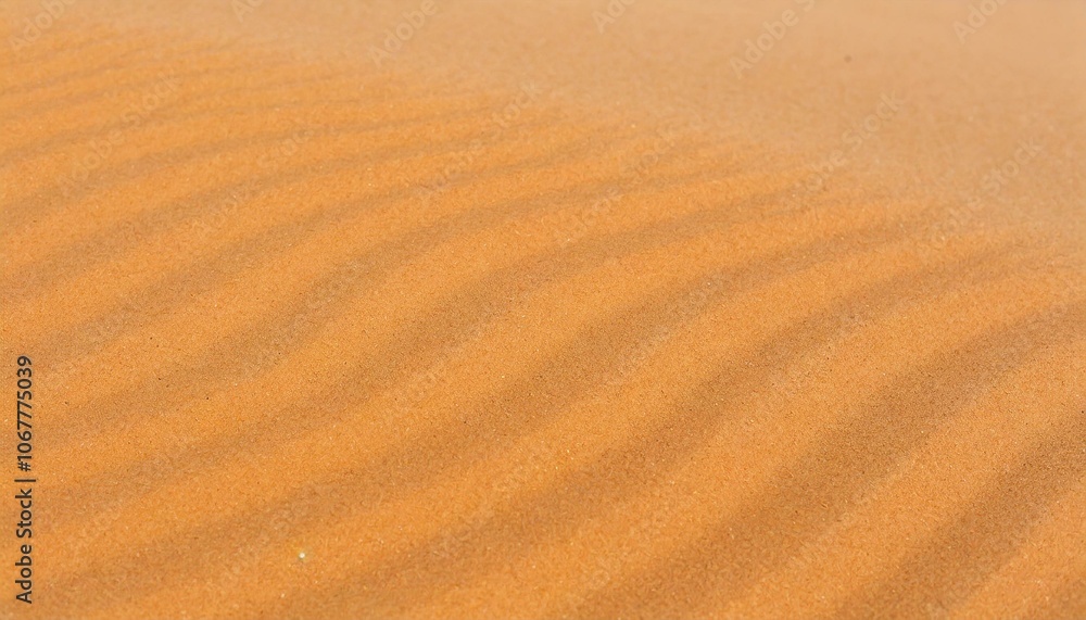 sand background sand background