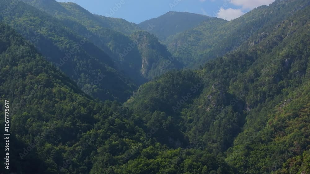 Aerial view over the verdant slopes of Mount Olympus creates a stunning scene filled with vibrant flora and natural splendor, highlighting a tranquil summer landscape Aerial view over the verdant slopes of Mount Olympus creates a stunning scene filled with vibrant flora and natural splendor, highlighting a tranquil summer landscape