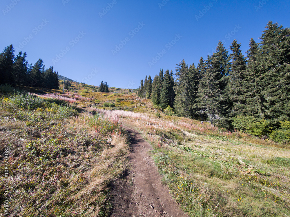 Landscape of Vitosha Mountain, Bulgaria Landscape of Vitosha Mountain, Bulgaria