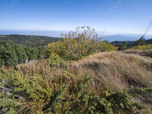 Landscape of Vitosha Mountain, Bulgaria photo