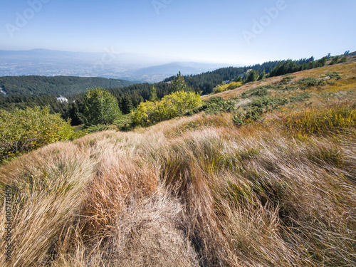 Landscape of Vitosha Mountain, Bulgaria photo