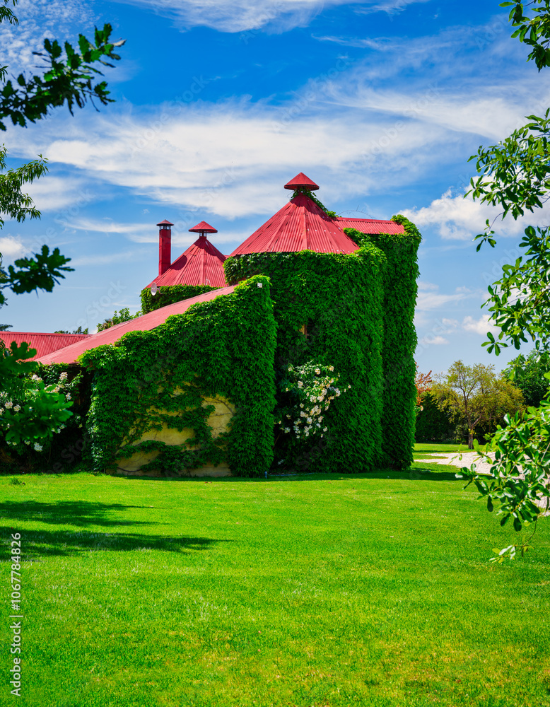 Vertical view of charming vine-covered cottage under blue sky with white clouds, Robertson, Western Cape, South Africa