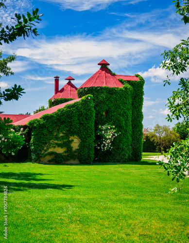 Obraz na płótnie Vertical view of charming vine-covered cottage under blue sky with white clouds, Robertson, Western Cape, South Africa w salonie