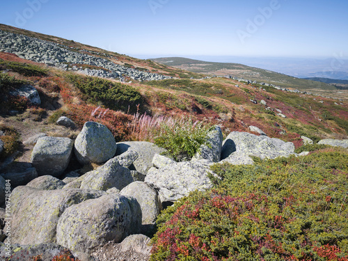 Landscape of Vitosha Mountain, Bulgaria